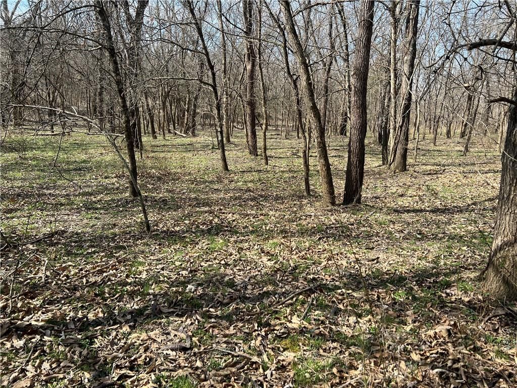 Petty Mill Trail — photo 26