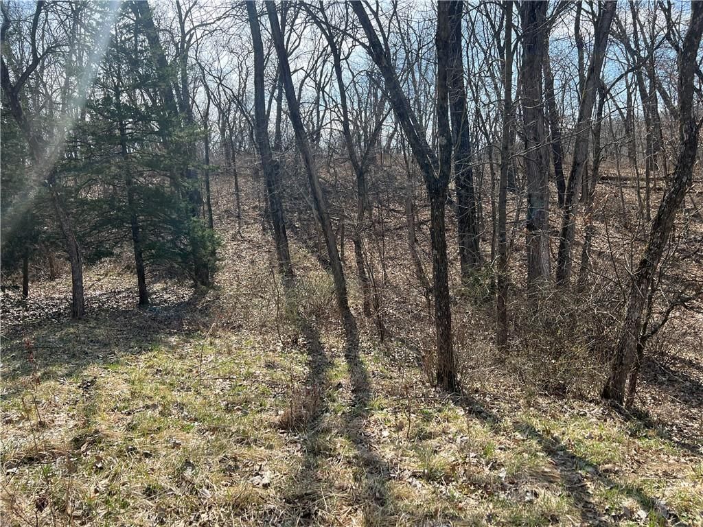 Petty Mill Trail — photo 28