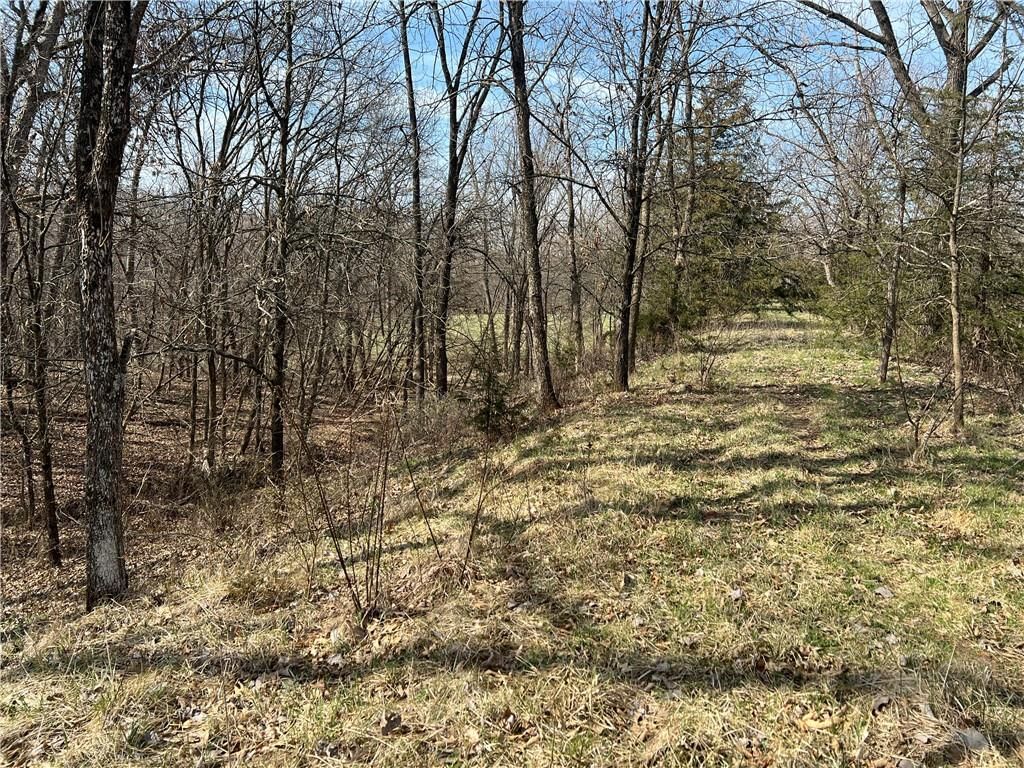 Petty Mill Trail — photo 29