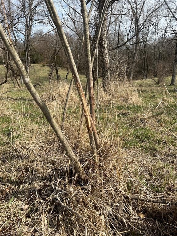 Petty Mill Trail — photo 30