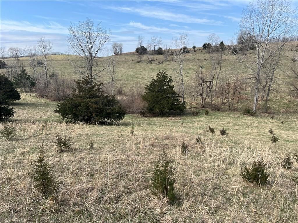 Petty Mill Trail — photo 31