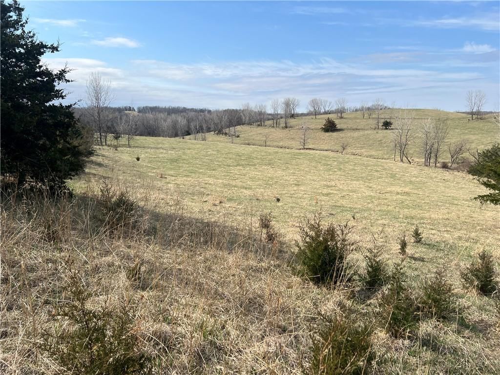 Petty Mill Trail — photo 33