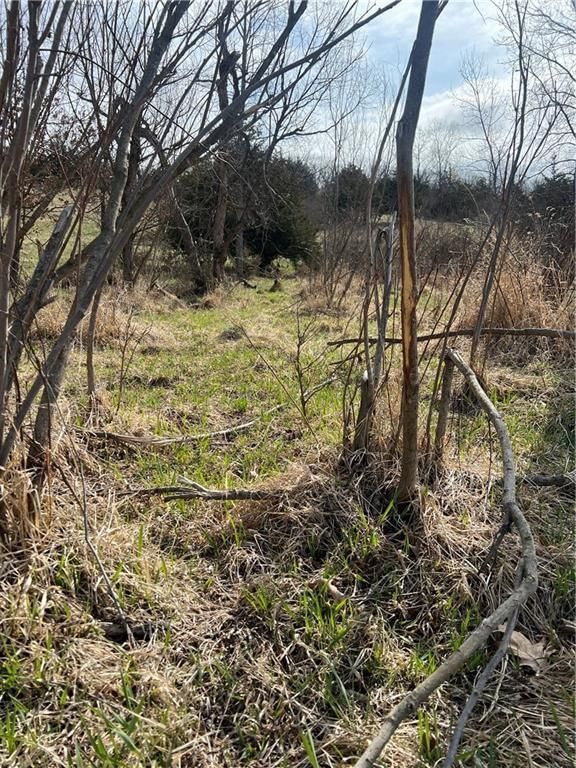 Petty Mill Trail — photo 34