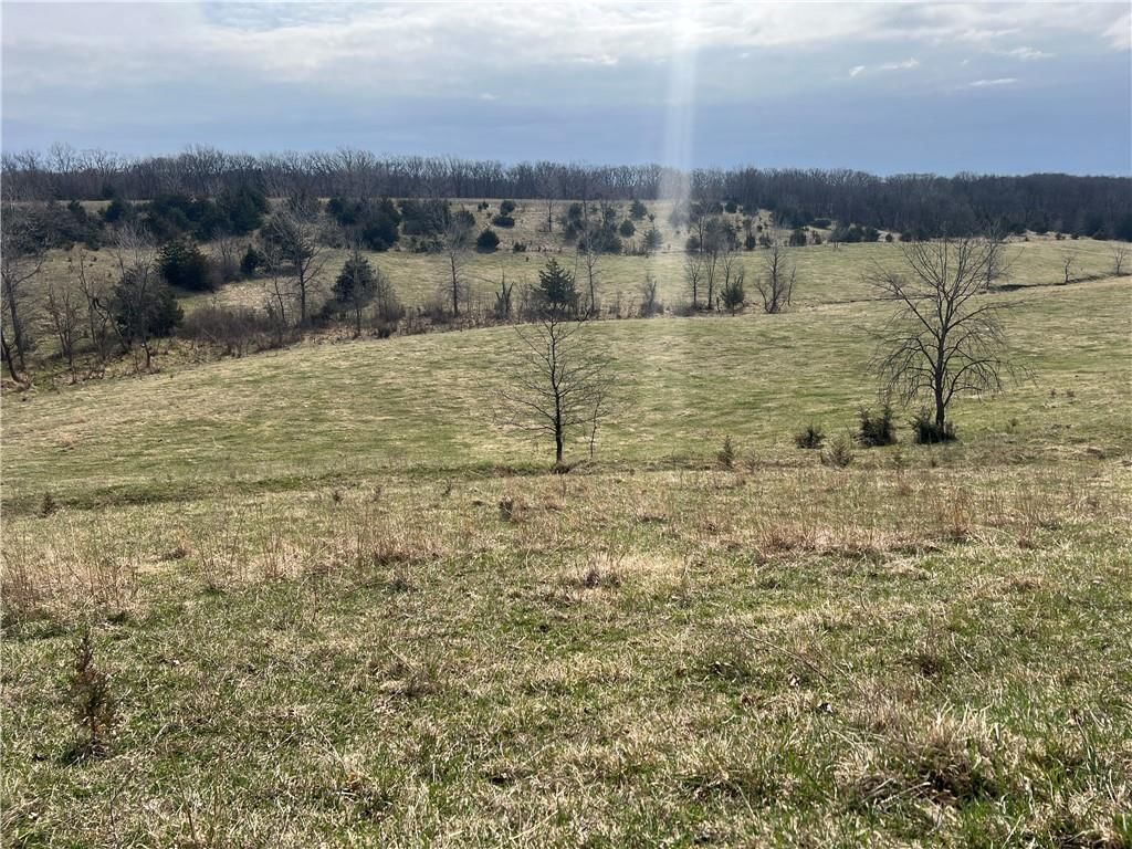 Petty Mill Trail — photo 35