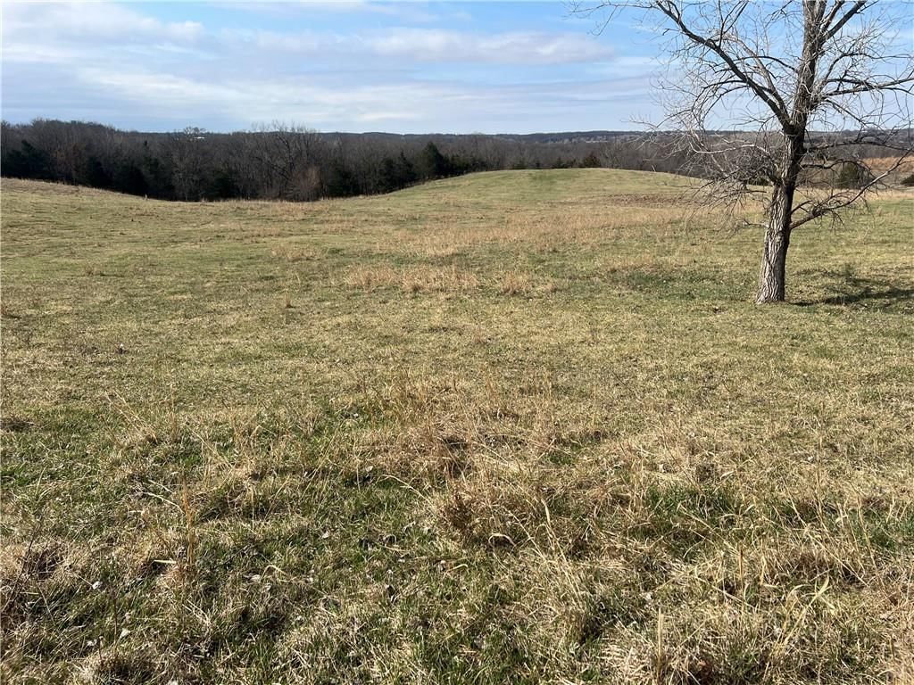 Petty Mill Trail — photo 40