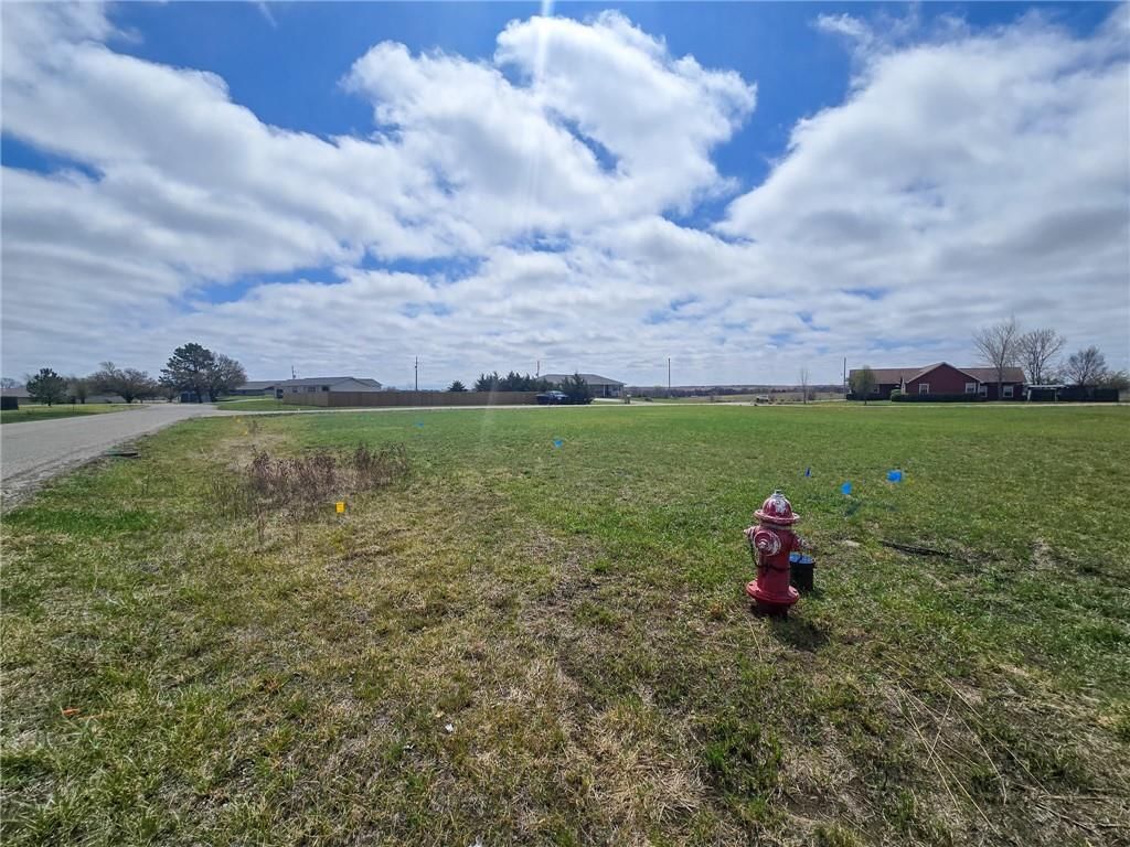 Country Lane — photo 4