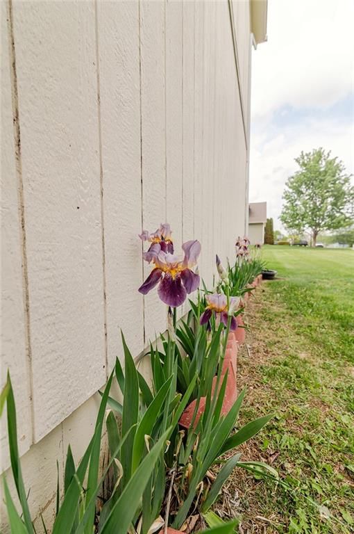 12212 Clubhouse Drive — photo 5