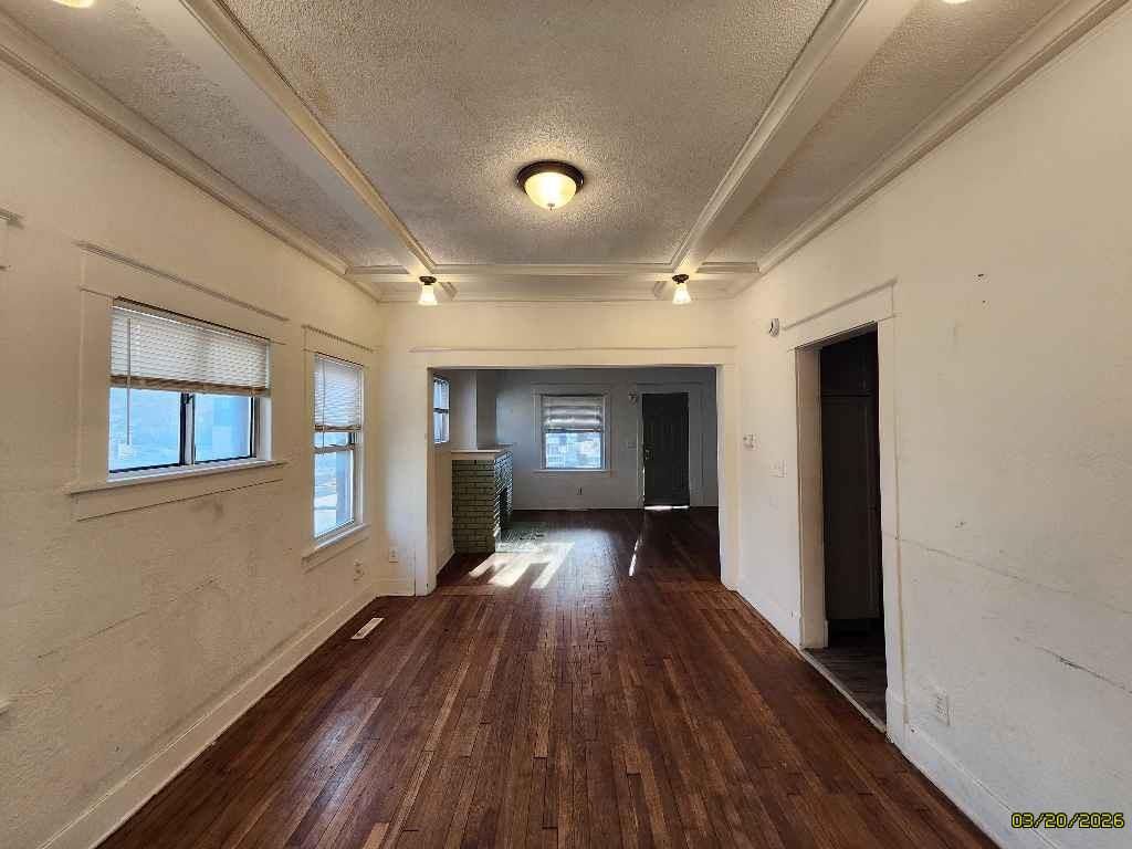3800 Chestnut Avenue — photo 6