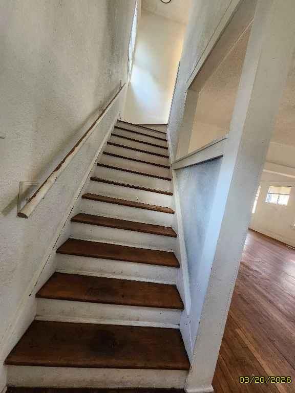 3800 Chestnut Avenue — photo 11
