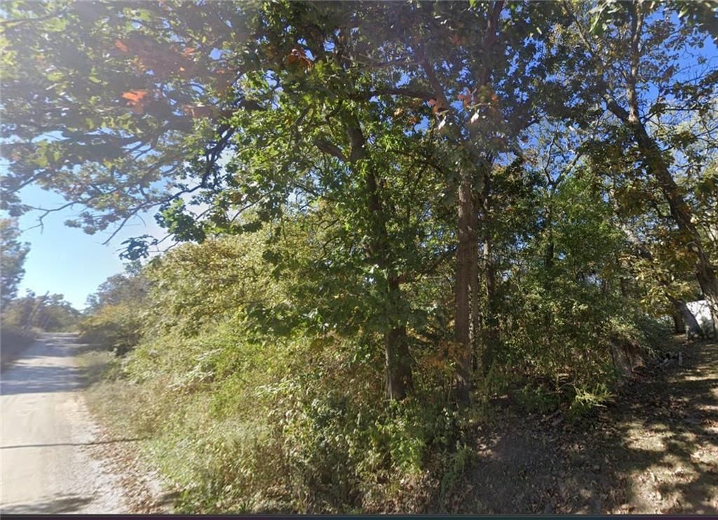 Plat A Lot 12 Lakeshore Drive — photo 2