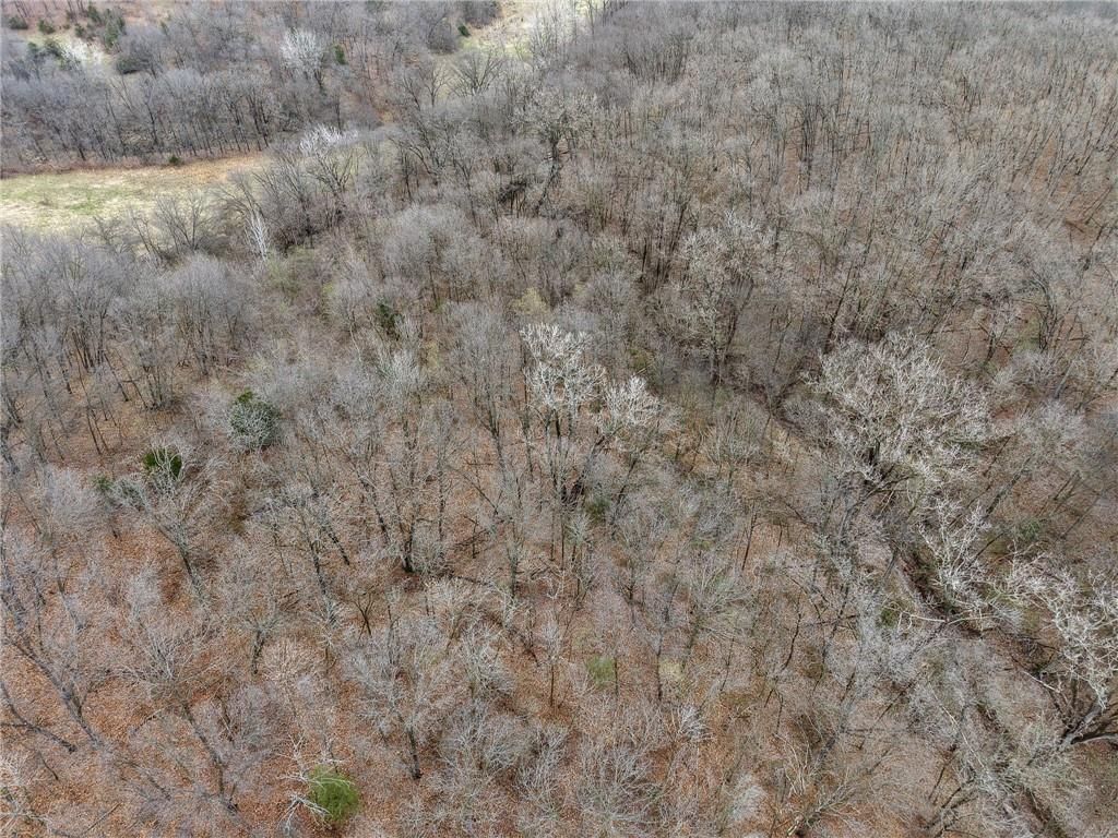 13644 Quince Trail — photo 24