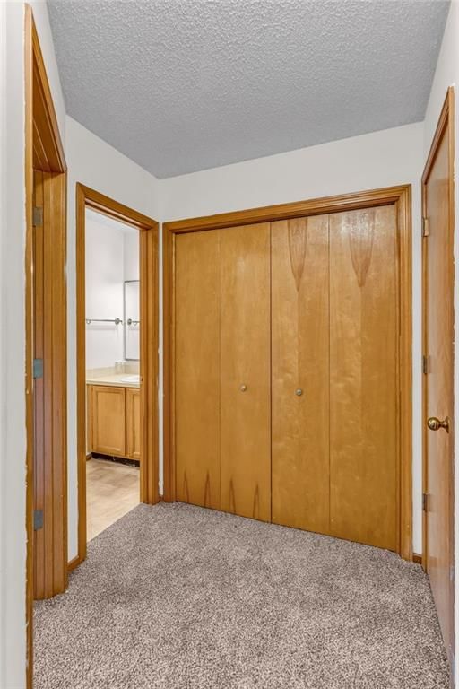 3902 Willshire Drive — photo 21