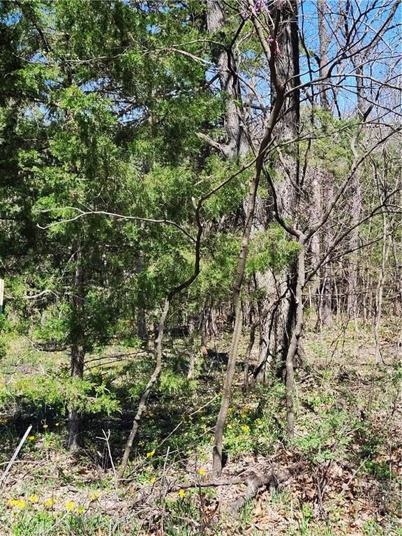 185 Wilderness Trail, Linn Valley, KS
