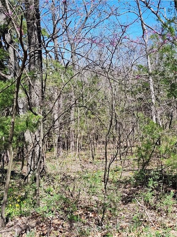 185 Wilderness Trail — photo 2