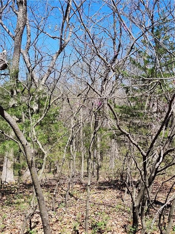 185 Wilderness Trail — photo 3