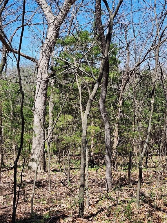 185 Wilderness Trail — photo 4