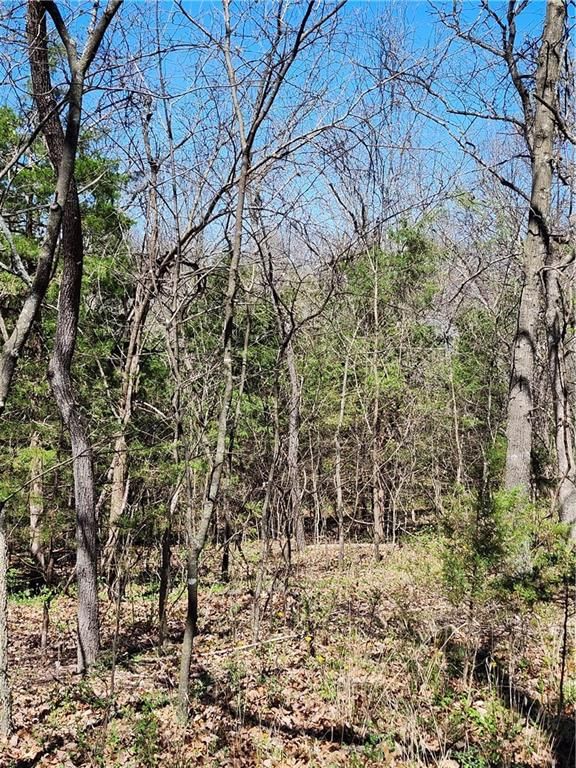 185 Wilderness Trail — photo 5