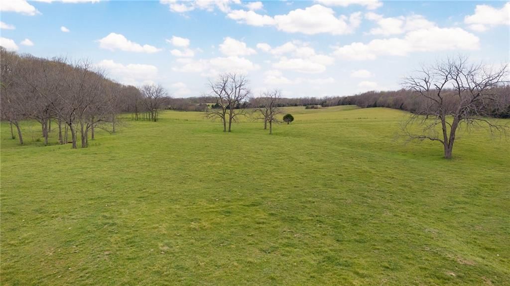 21150 Farm Road 2020 N/A — photo 13