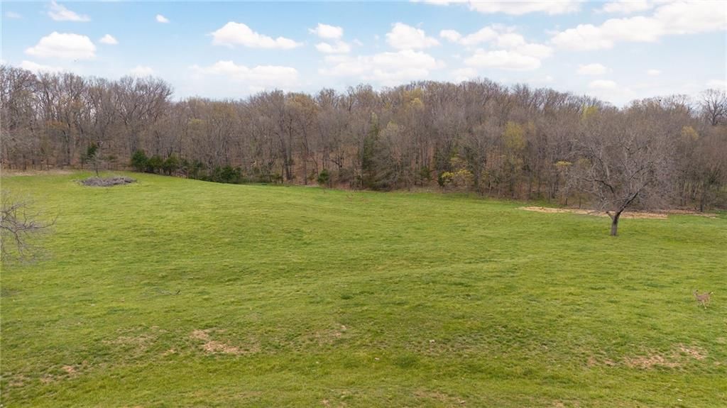 21150 Farm Road 2020 N/A — photo 14