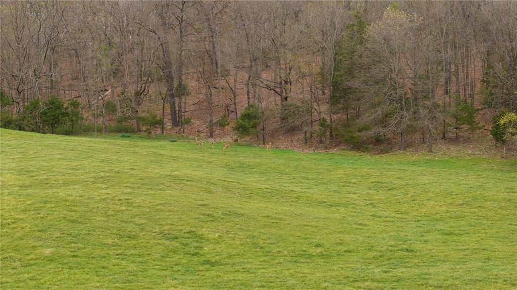 21150 Farm Road 2020 N/A — photo 15