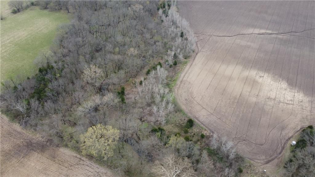 2237 Highway 7 Highway — photo 5