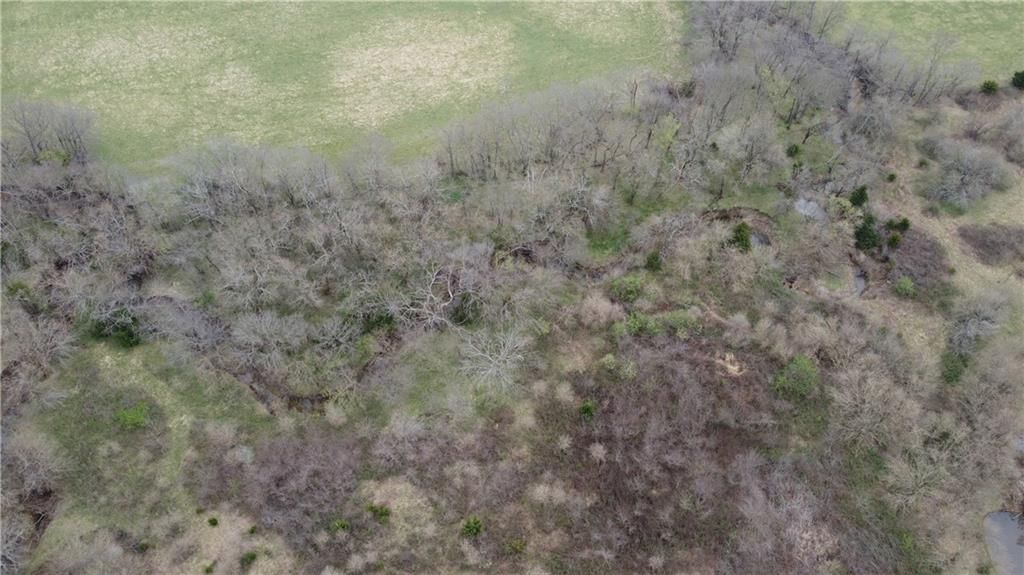 2237 Highway 7 Highway — photo 30
