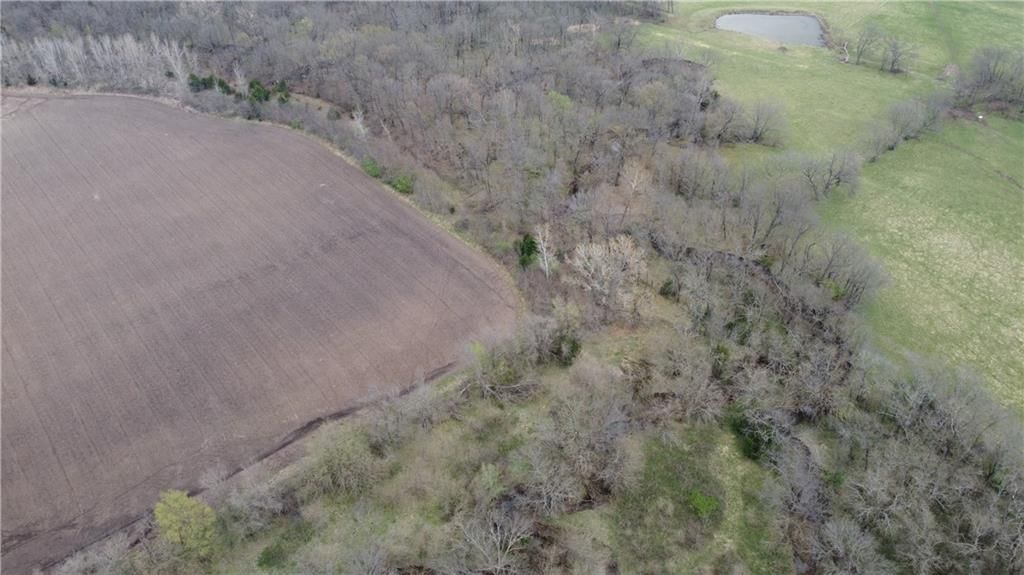 2237 Highway 7 Highway — photo 31
