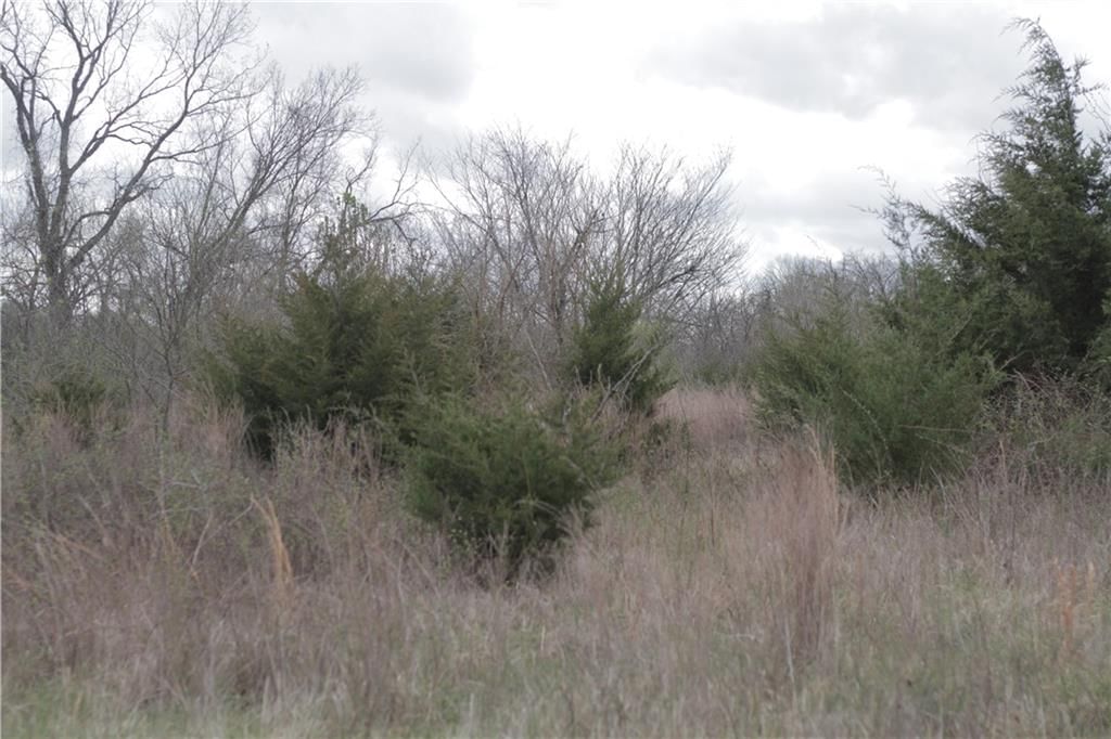 2237 Highway 7 Highway — photo 52