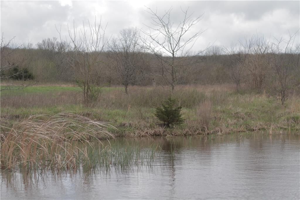 2237 Highway 7 Highway — photo 53