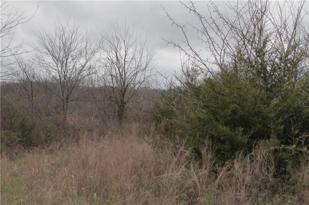 2237 Highway 7 Highway — photo 54