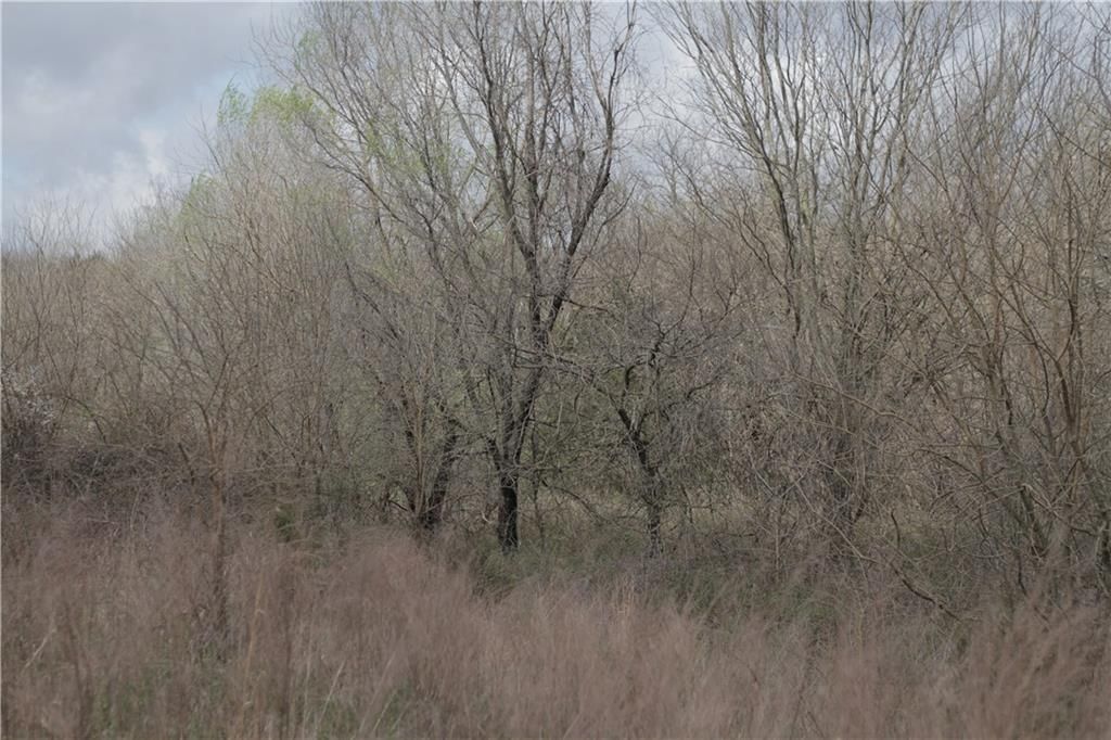 2237 Highway 7 Highway — photo 55