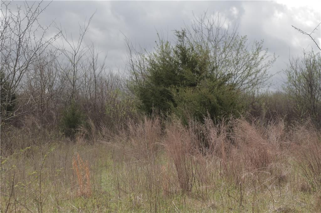 2237 Highway 7 Highway — photo 59