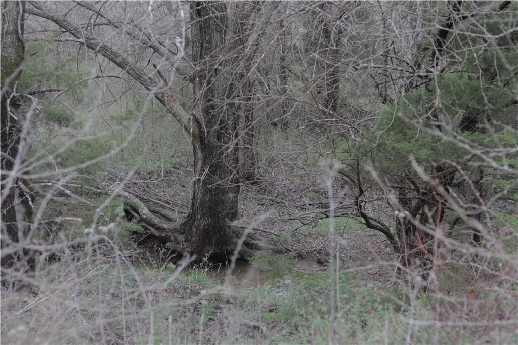 2237 Highway 7 Highway — photo 60