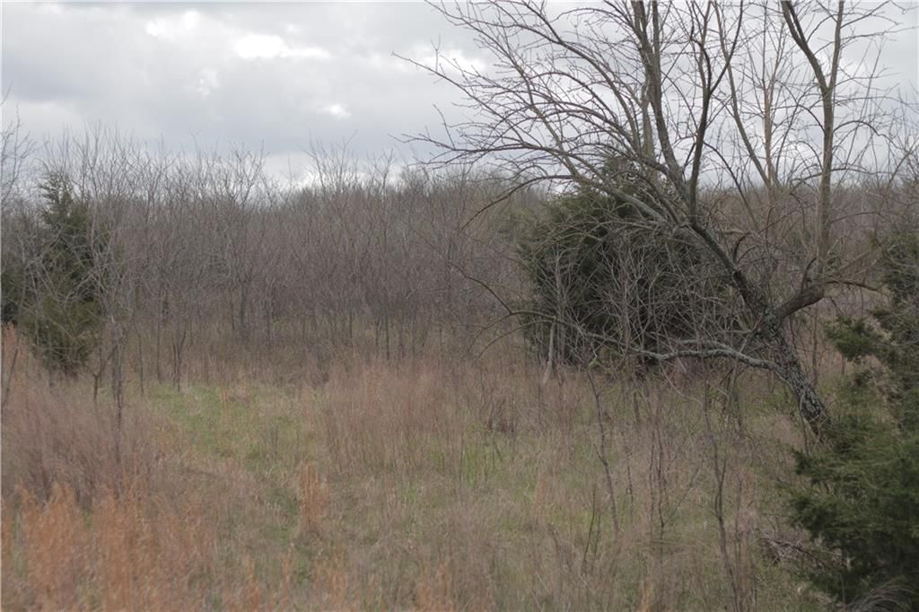 2237 Highway 7 Highway — photo 61