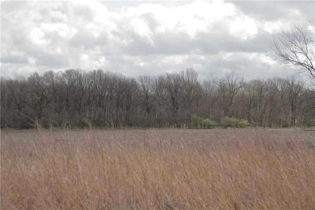 2237 Highway 7 Highway — photo 68