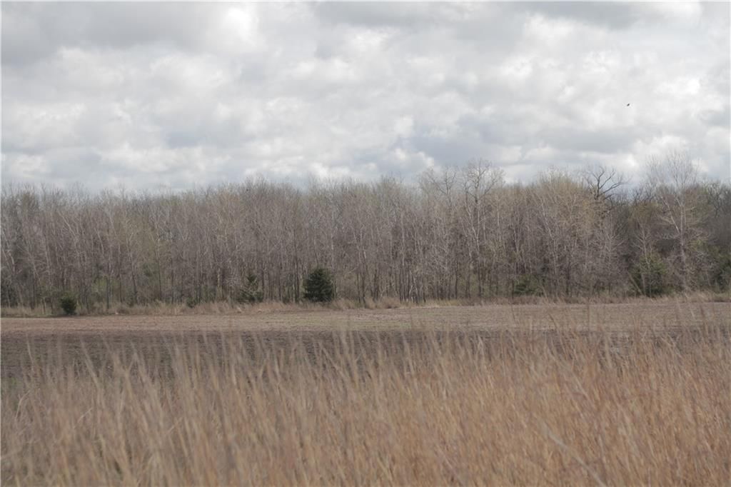 2237 Highway 7 Highway — photo 69