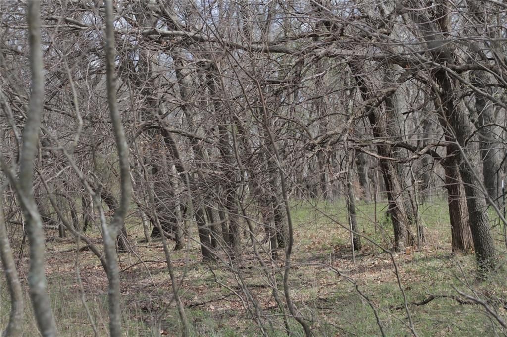 2237 Highway 7 Highway — photo 71