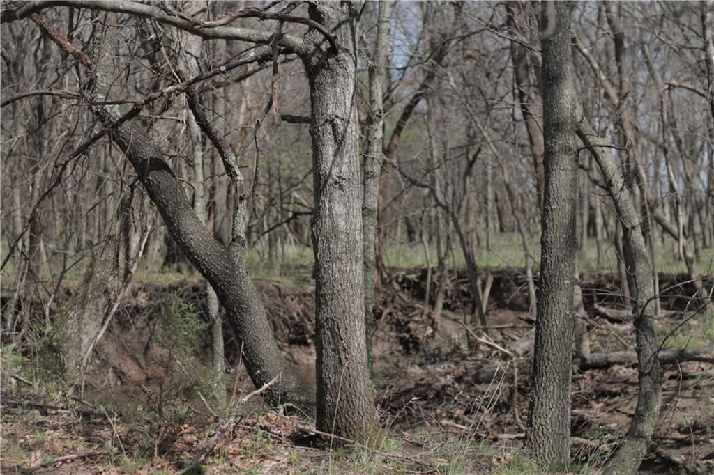 2237 Highway 7 Highway — photo 73