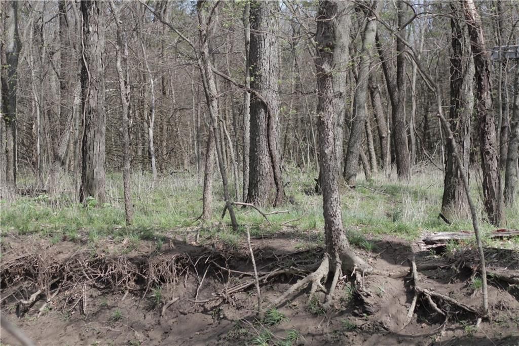 2237 Highway 7 Highway — photo 79