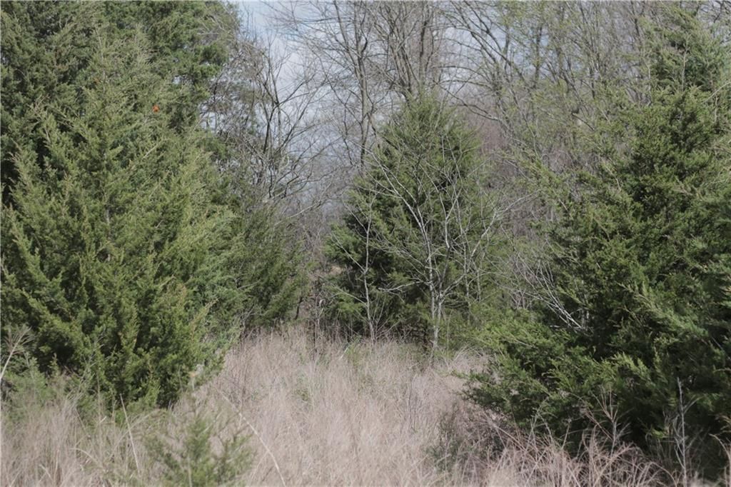 2237 Highway 7 Highway — photo 83