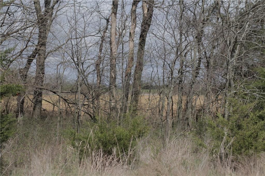2237 Highway 7 Highway — photo 84