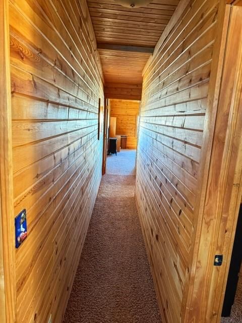 240 Alpine Beach N/A — photo 15