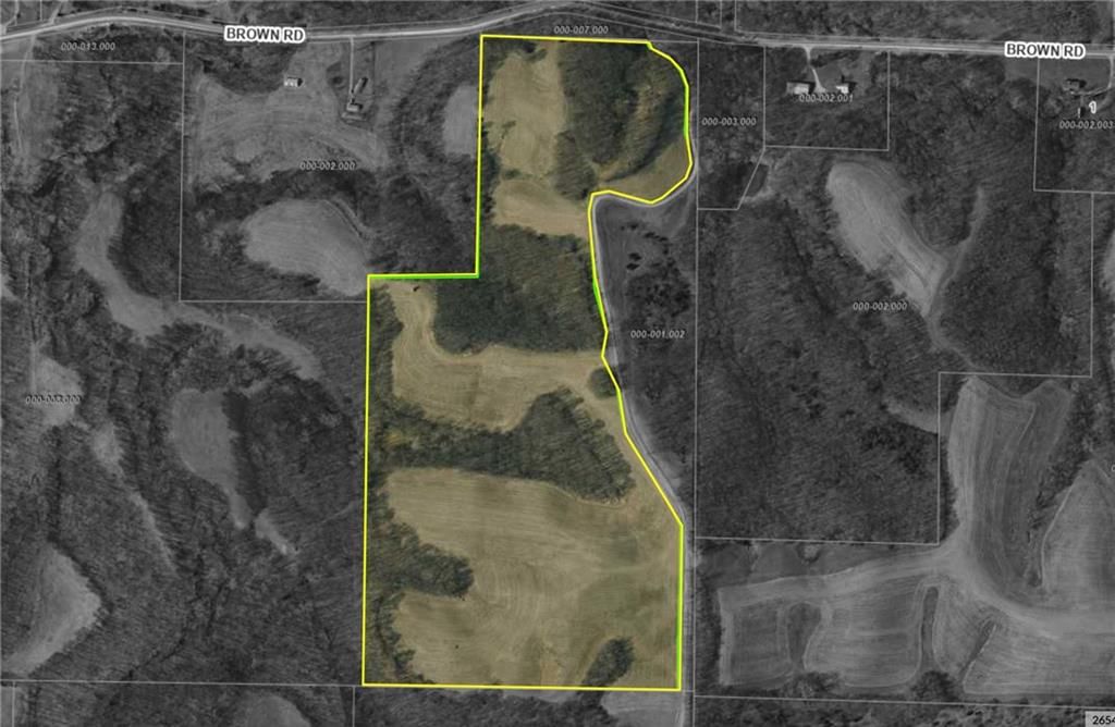 59.4 AC m/l Brown Road — photo 2