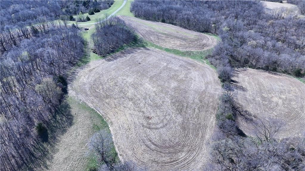59.4 AC m/l Brown Road — photo 3