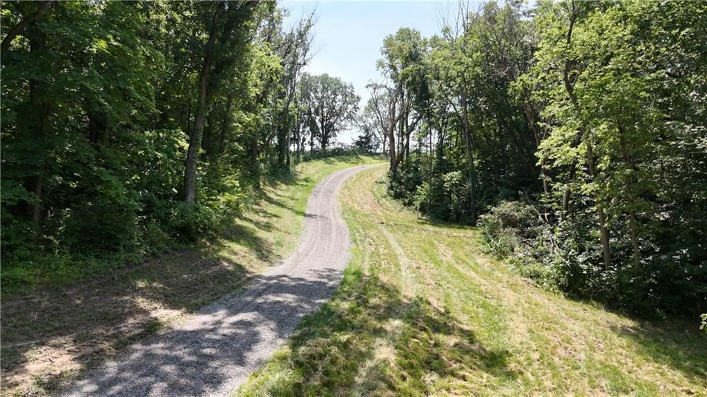 59.4 AC m/l Brown Road — photo 4