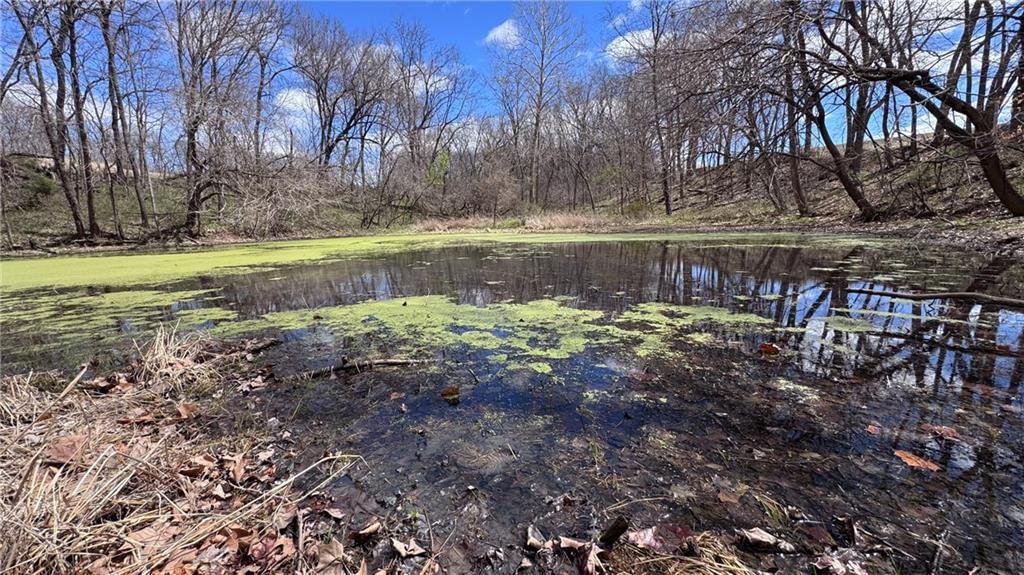 59.4 AC m/l Brown Road — photo 5