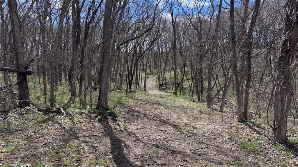 59.4 AC m/l Brown Road — photo 6