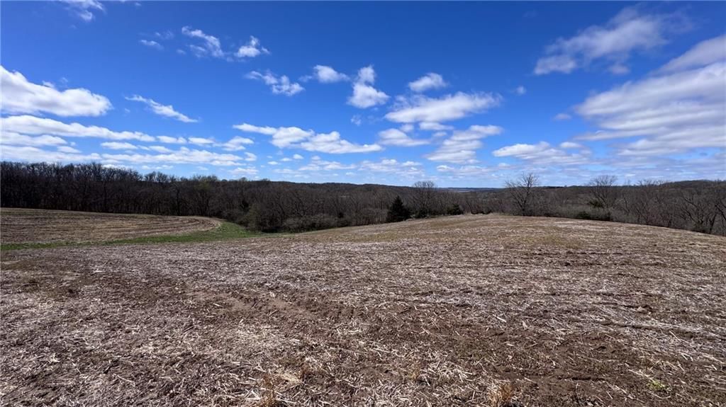 59.4 AC m/l Brown Road — photo 7