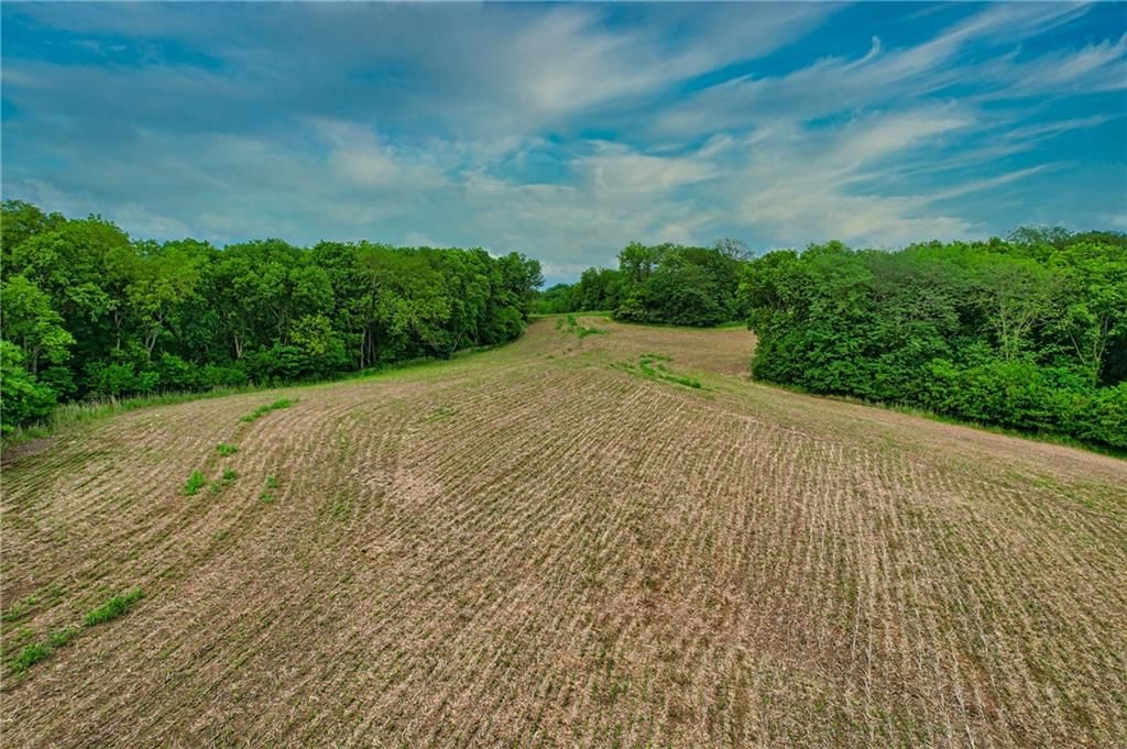 59.4 AC m/l Brown Road — photo 8