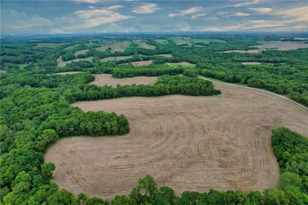 59.4 AC m/l Brown Road — photo 9